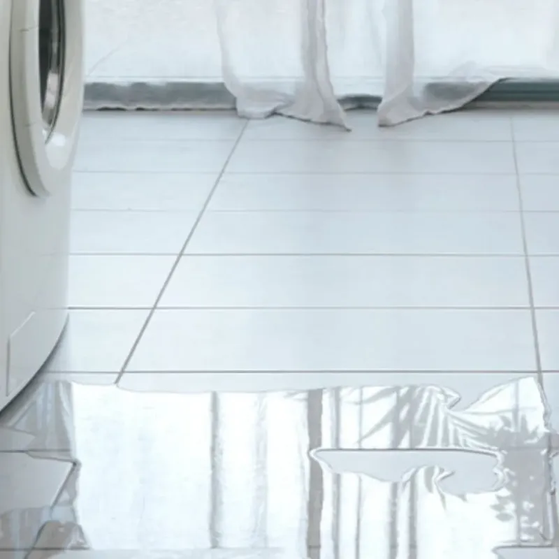 Appliance Leak Cleanup in Monahans, TX