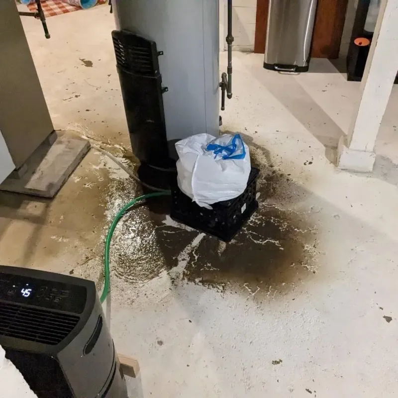 Sewage Backup Cleanup Service in Monahans, TX